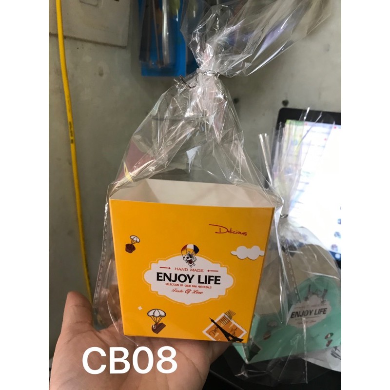 Túi đựng bánh cookie CB08- 100c