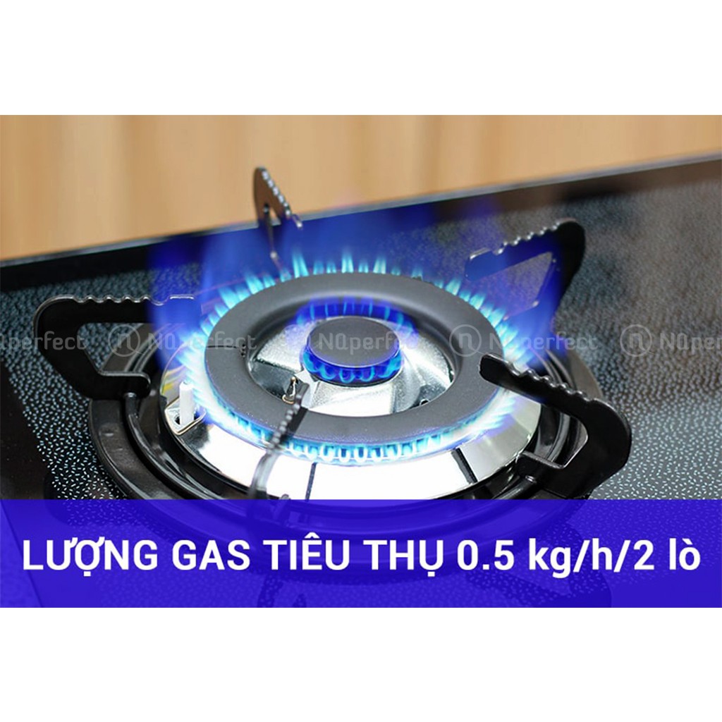 Mâm chia lửa bếp gas âm Rinnai RVB-2BG [loại 1]