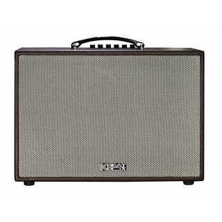 Loa karaoke mini xách tay acnos cs200pu