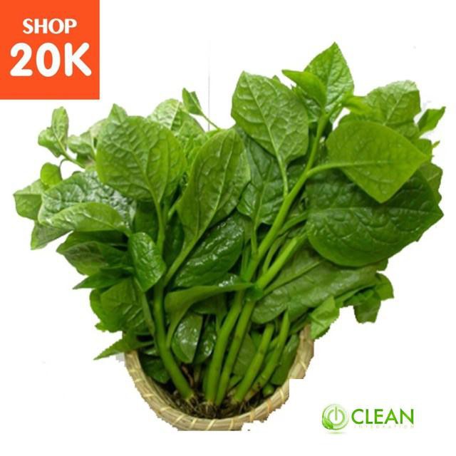 Giống Rau Mồng Tơi