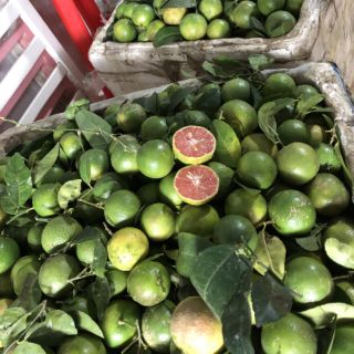 Chanh đào tươi Hoà Bình (chanh cuối mùa chỉ giao khu vực TPHCM)