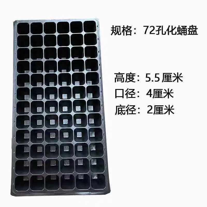 Khay ươm hạt, khay gieo hạt loại dày đẹp - 32, 50, 72 lỗ Seed Land