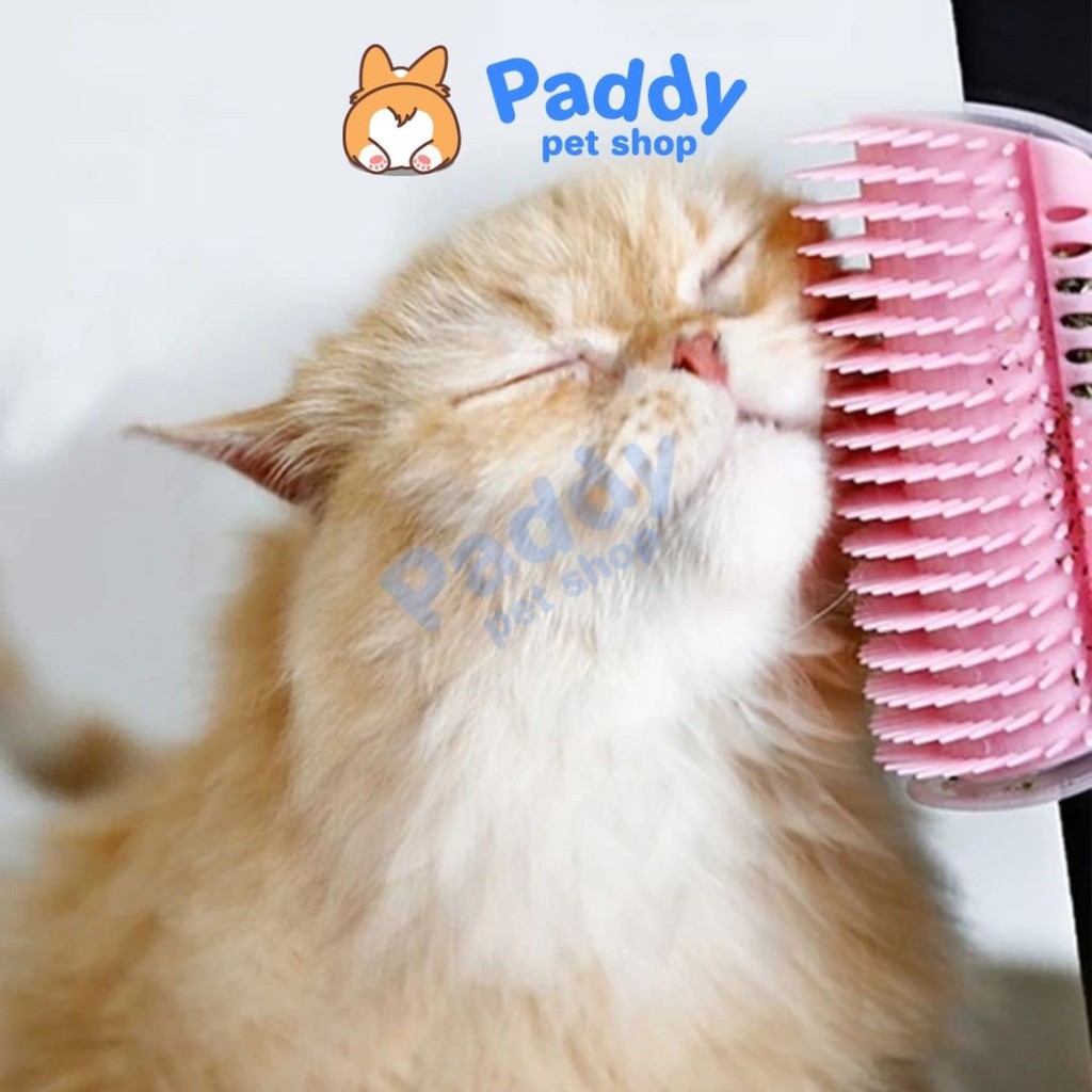 Lược Cố Định Cho Mèo Tự Chải Lông Chứa Cỏ Mèo