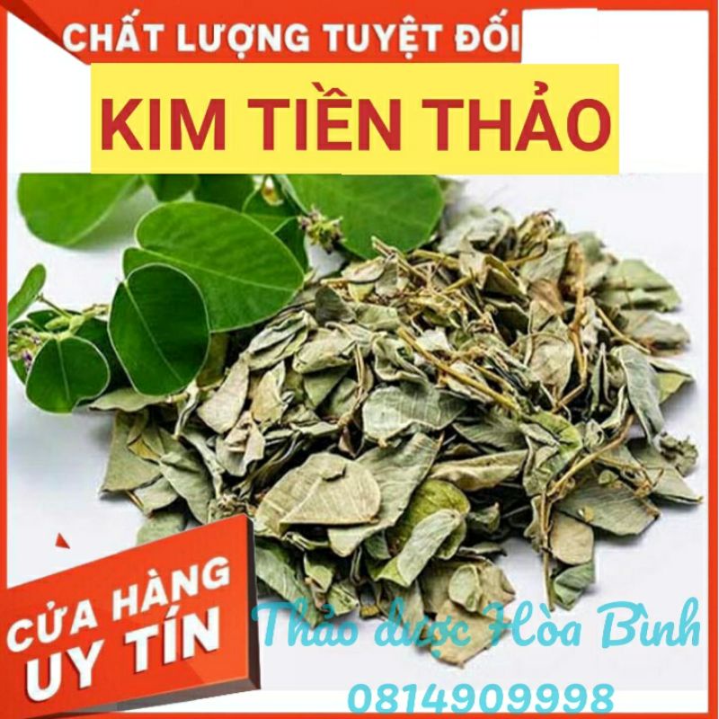 Kim Tiền Thảo 500g và 1kg - Hàng mới, sạch, thơm