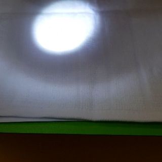 Đèn laze đồ chơi dành cho mèo