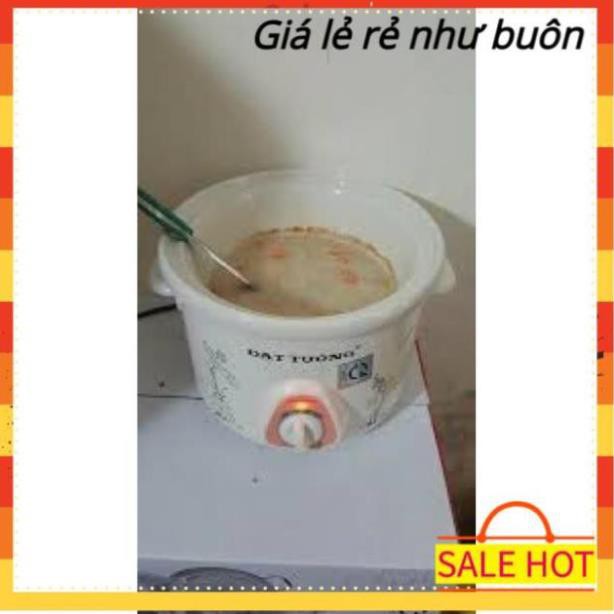 [Size 1.5L-2.5L] Nồi nấu cháo cho bé nấu chậm, nồi kho cá điện Đạt Tường giữ nguyên chất dinh dưỡng