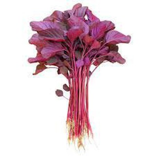 GÓI 10 GRAM HẠT GIỐNG RAU DỀN ĐỎ (HT)