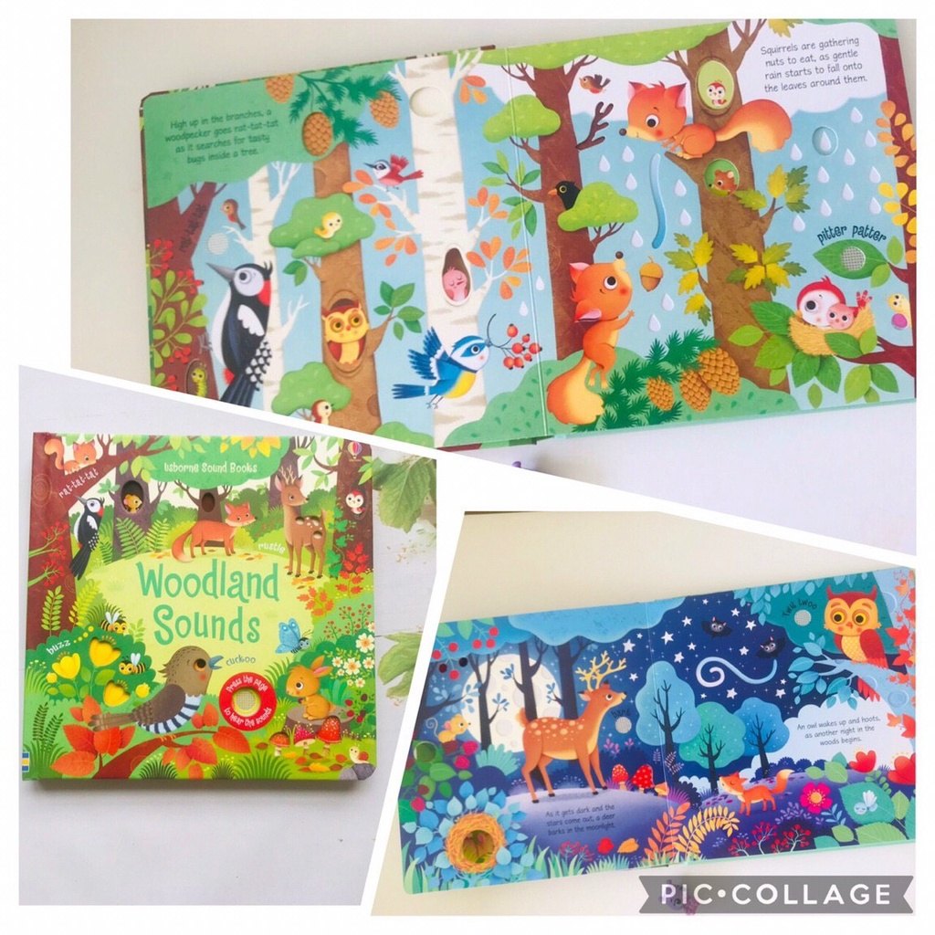 Sách Tiếng Anh Usborne Garden Sounds Jungle Sounds Poppy and Sam Noisy Tructor