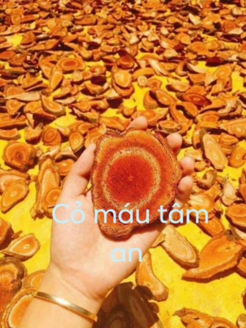 Trà cỏ máu Tâm An