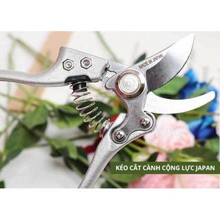 Kéo cắt tỉa cành cây SK5 Nhật Bản siêu sắc hàng nhập khẩu chính hãng