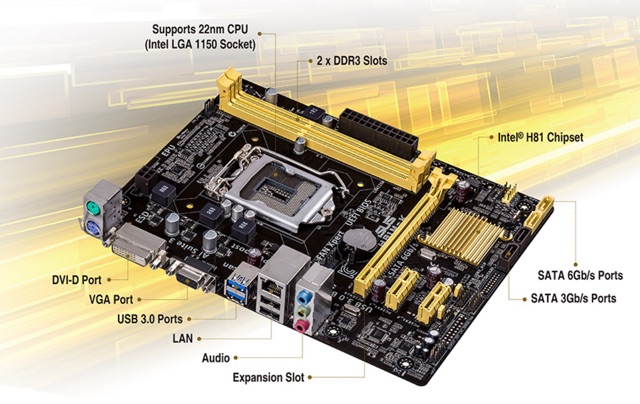 Mainboard ASUS H81M-K