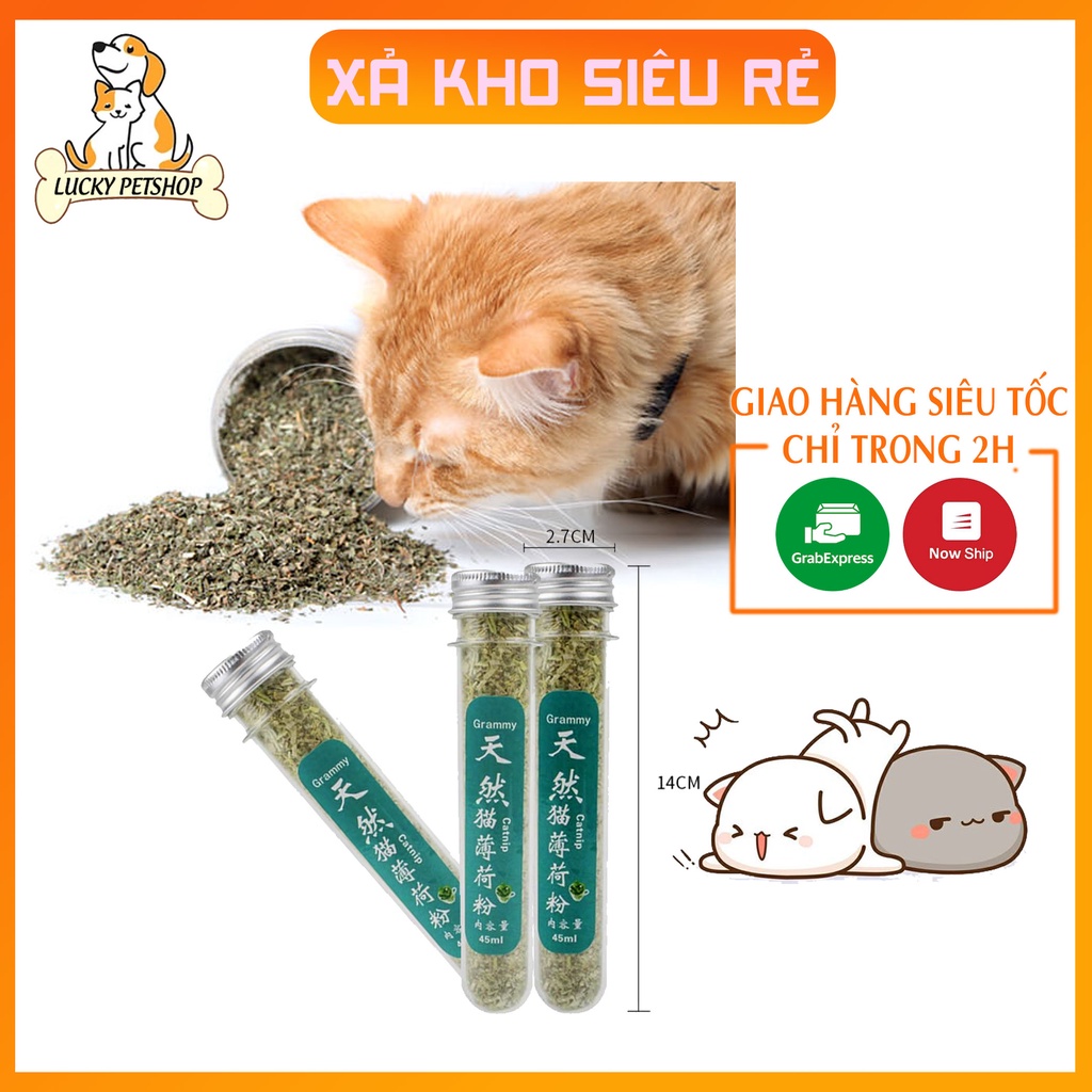 Cỏ Catnip bạc hà mèo