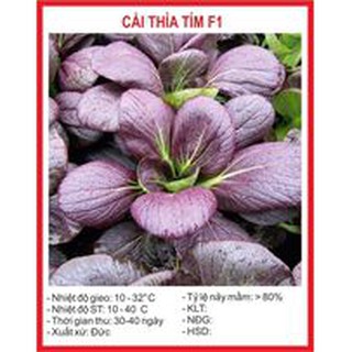 Hạt giống rau cải thìa tím - 2gram