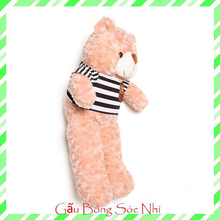 Gấu Bông Teddy Xinh Xắn  FREESHIP  Gấu Bông Sóc Nhí - Gấu bông teddy cao cấp