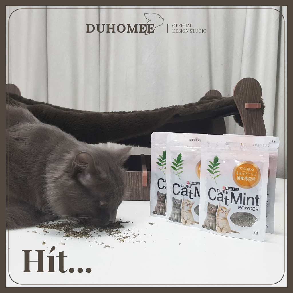 Cỏ bạc hà catnip cho mèo phê pha | Catnip | Duhomee