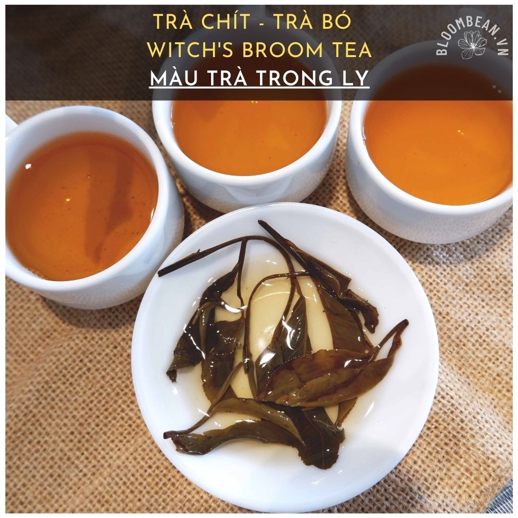 Trà Chít  -  Trà Shan Tuyết hữu cơ - Bloombean