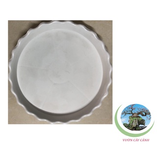 Đĩa lót chậu tròn khía phi 13cm - #049c#