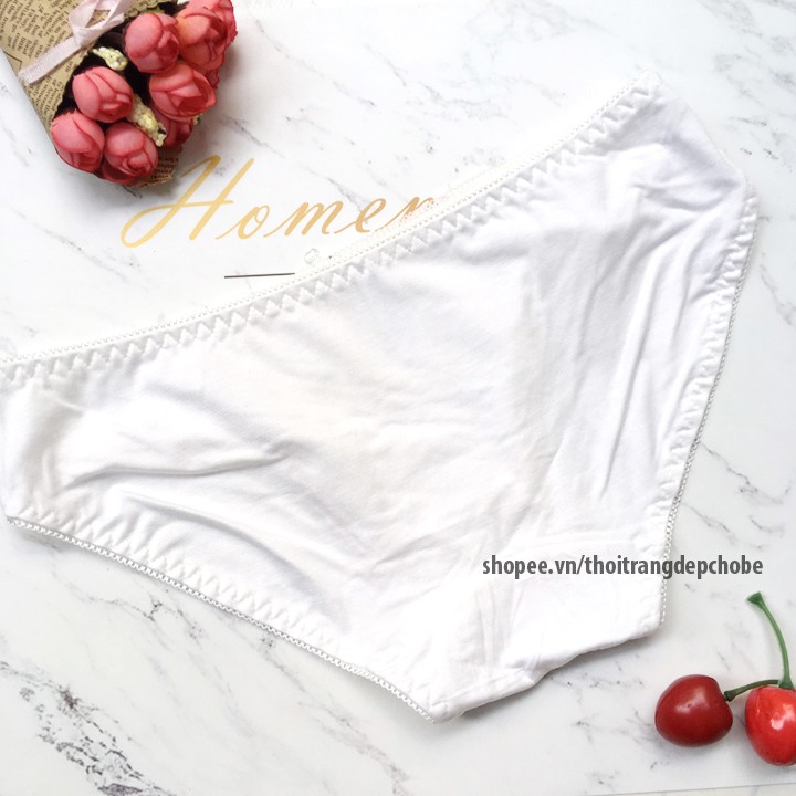Quần lót nữ thun cotton saki màu trơn - QL212