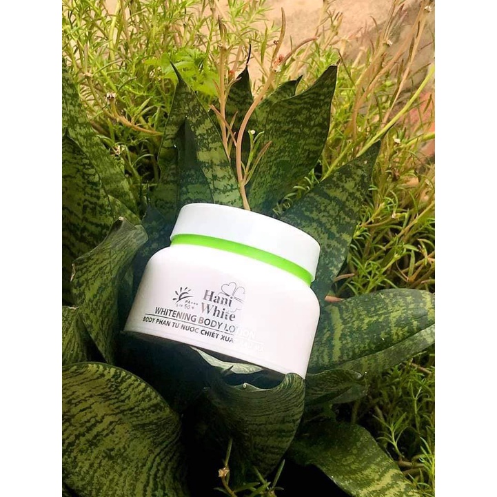 Kem  BODY RAU MÁ HANI WHITE DƯỠNG TRẮNG DA  SAU 7 NGÀY sử dụng