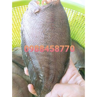 Khô cá sặc bổi 500g ( loại đặc biệt) 3 đến 5 con