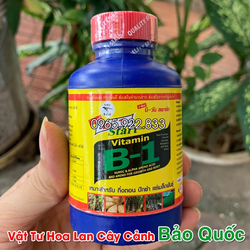 Vitamin B1 Thái Lan Hàng Chuẩn bón lá kích rễ cho Hoa lan, cây cảnh