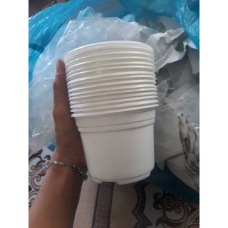 Combo 10 chậu ươm cây 10cm