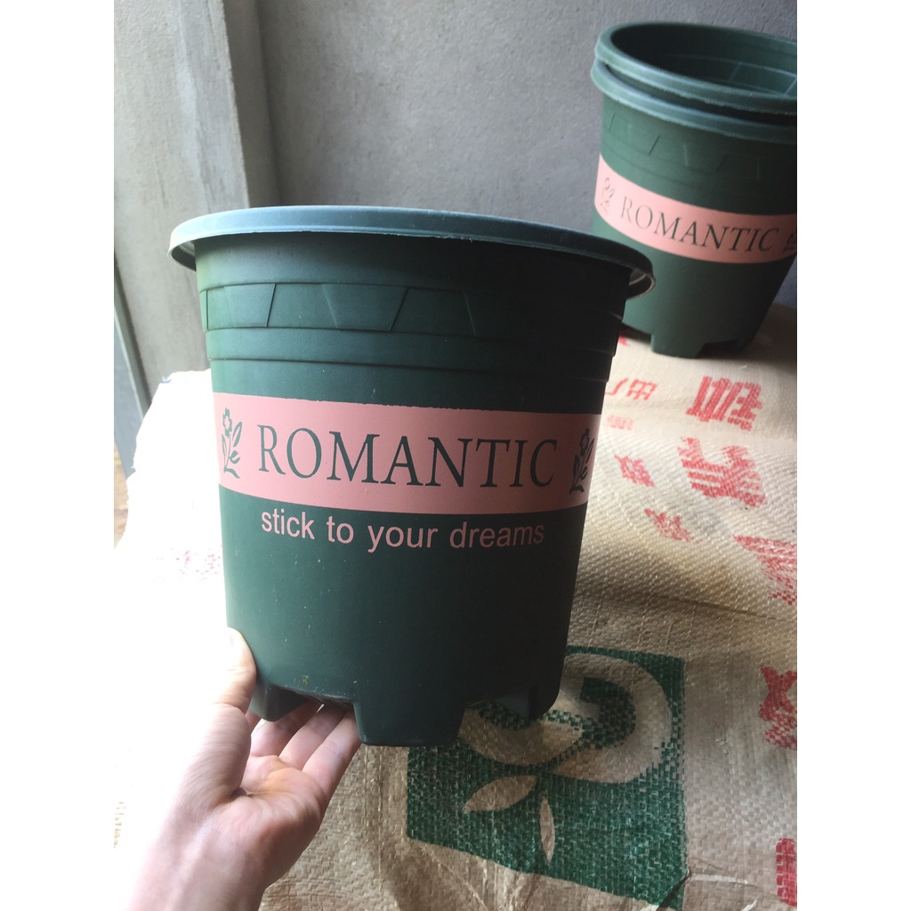 5 CHẬU NHỰA ROMANTIC #2 (BẦU KHAY TÚI ƯƠM, KEO LIỀN SẸO CÂY, KÍCH RỄ MẦM CÂY...)