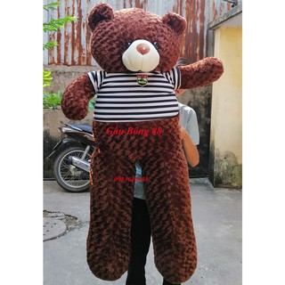 Gấu bông Teddy khổ vải 1m8 chiều cao 1m6 - Hàng cao cấp cực đẹp
