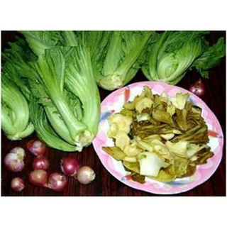 hạt giống cải bẹ dưa loại ngon ( 100 hạt , nảy mầm 99% )