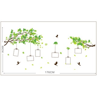 Decal Dán Tường Cành Cây Khung Ảnh