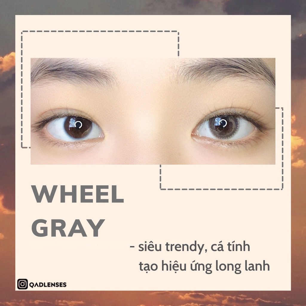 Wheel Gray Qadlenses Lens XÁm trong giãn nhẹ Kính áp tròng Lens Khay