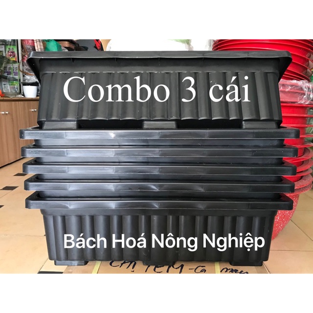 Combo Khay nhựa trồng rau thông minh 63cm