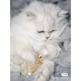 ( 2 SIZE ) NƯỚC HOA MOSCHINO TOY 2