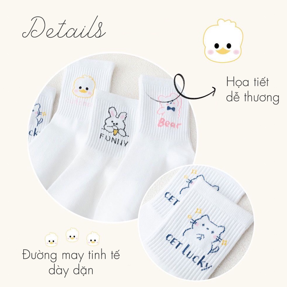 Tất vớ nữ cổ cao chất liệu cotton co giãn bốn chiều, set tất vớ nữ họa tiết xinh - Sope Shop