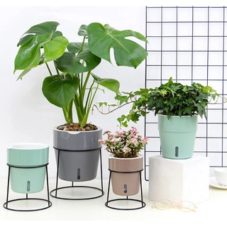 CHẬU TỰ DƯỠNG THÔNG MINH KÈM CHÂN SẮT