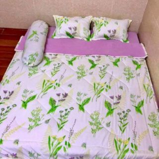 Set chăn đũi 5 món