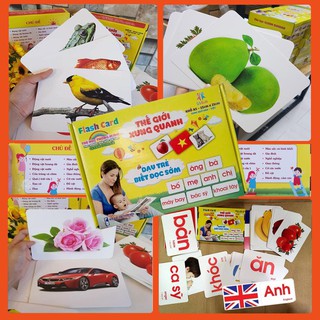 Thẻ Học Thông Minh Glenn Doman DẠY BÉ VỀ TGXQ DẠY BÉ BIẾT ĐỌC SỚM khổ A5( 15cm*21cm)