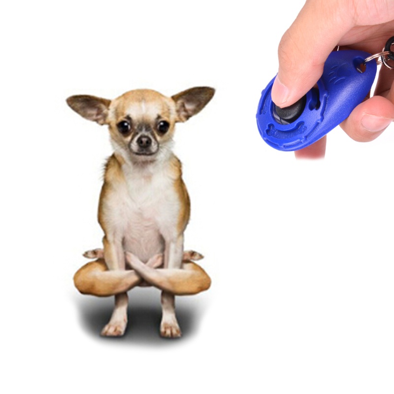 Bộ NúT BấM HuấN LuyệN Thú Cưng