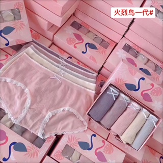 Sét 5 Quần Lót Size Lớn