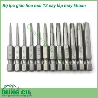 Bộ 12 đầu lục giác hoa thị lắp máy khoan