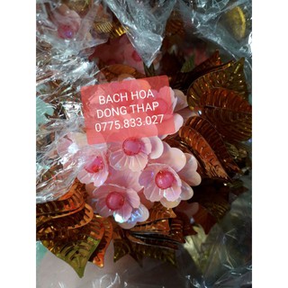 CÂY CÀNH VÀNG LÁ NGỌC