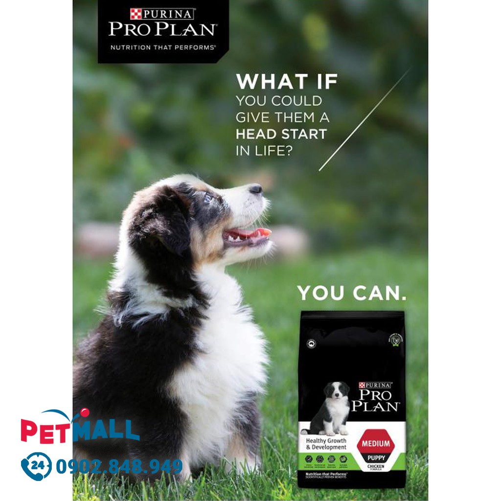 Thức ăn chó Purina PRO PLAN Medium Puppy Chicken 10kg - chó con giống vừa vị gà, chứa sữa non hỗ trợ tiêu hoá Petmall