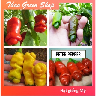 Hạt Giống Ớt Cu_Tí F1 Mỹ