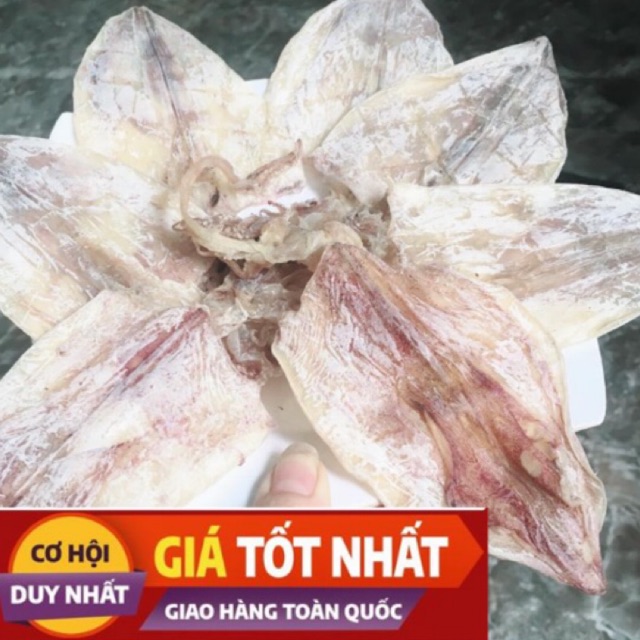 1kg khô mực ngon size 20 -30 con