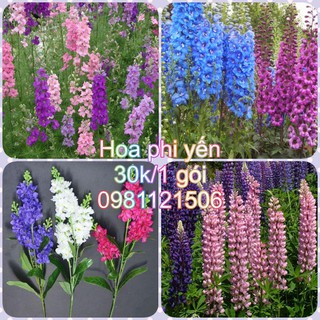Hạt giống hoa phi yến. Combo 2 gói tặng 2 viên nén ươm hạt và kích mầm.