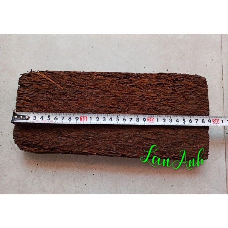 Dớn Bảng Trồng Lan  dài 15×30