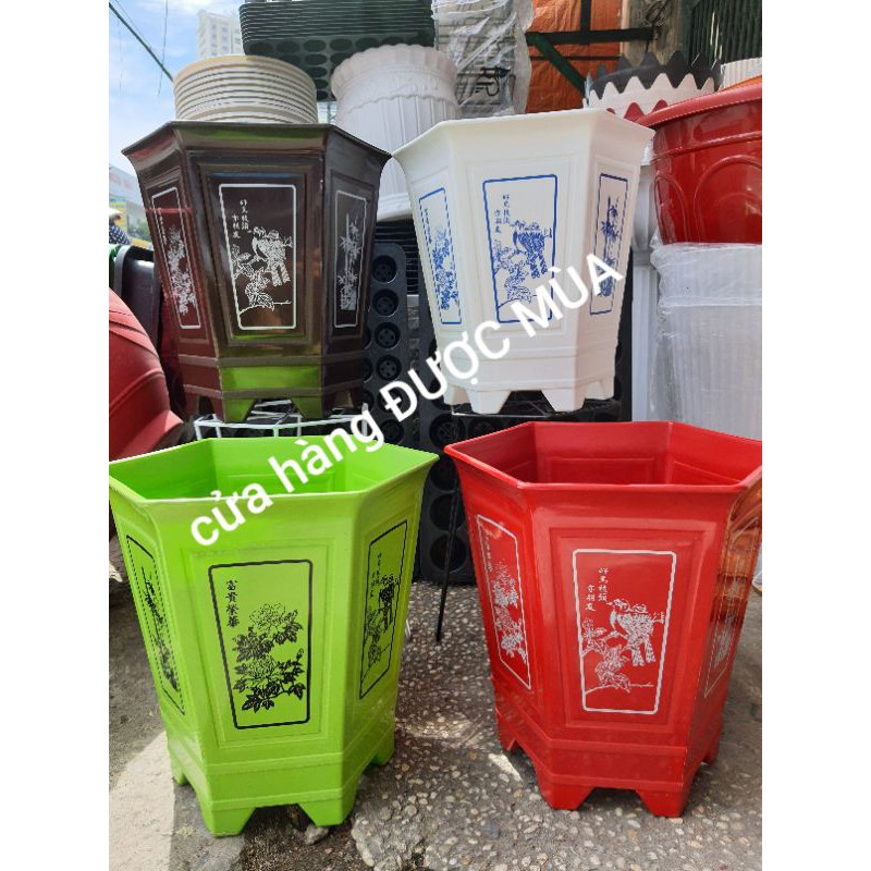 Combo 2 chậu lục giác in lụa 35x35cm