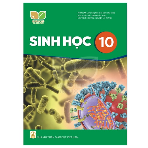 Sách - Combo 3 cuốn Sinh Học lớp 10 (Kết nối tri thức với cuộc sống)