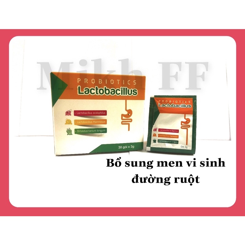 Lactobacillus-Bổ sung vi khuẩn có ích, ức chế vi khuẩn có hại giúp duy trì hệ vi sinh đường ruột