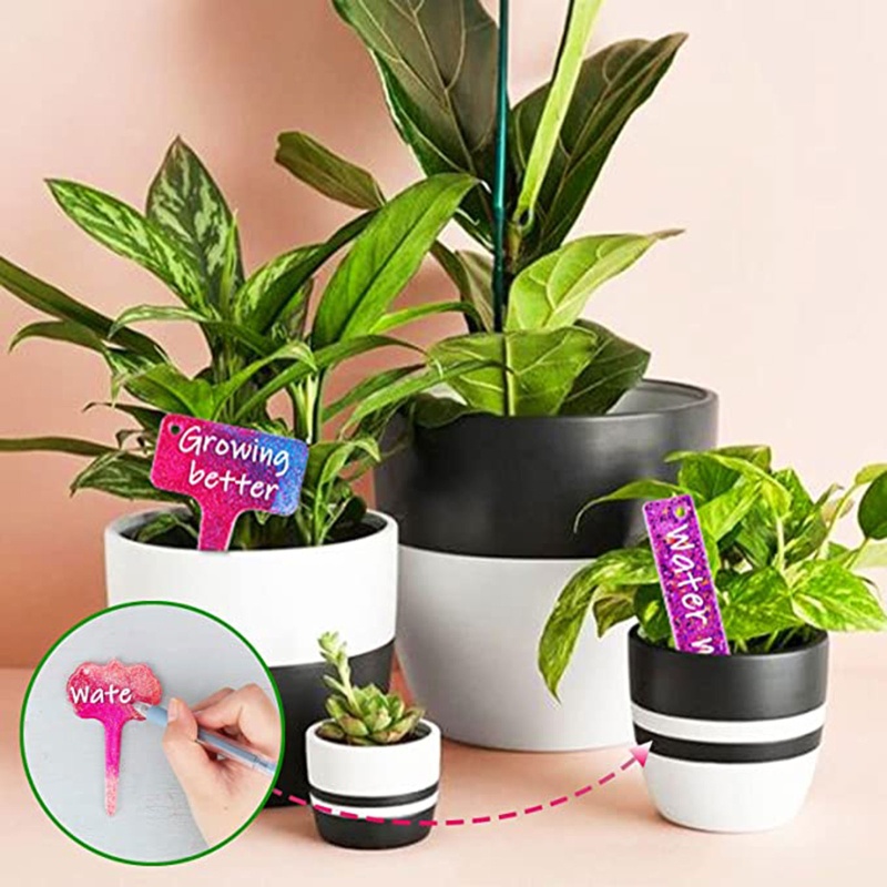 Khuôn Làm Nhãn Chậu Cây Nhiều Kiểu Dáng Dễ Thương